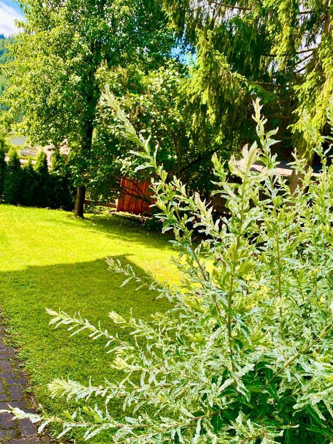 Haus Alpenrose Daire Waidring Dış mekan fotoğraf