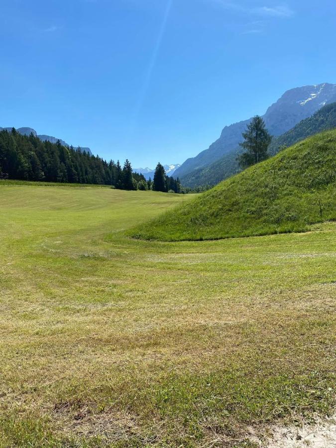 Haus Alpenrose Daire Waidring Dış mekan fotoğraf