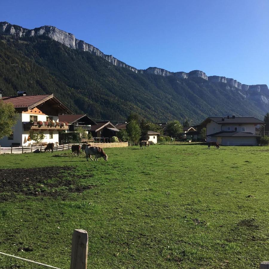 Haus Alpenrose Daire Waidring Dış mekan fotoğraf